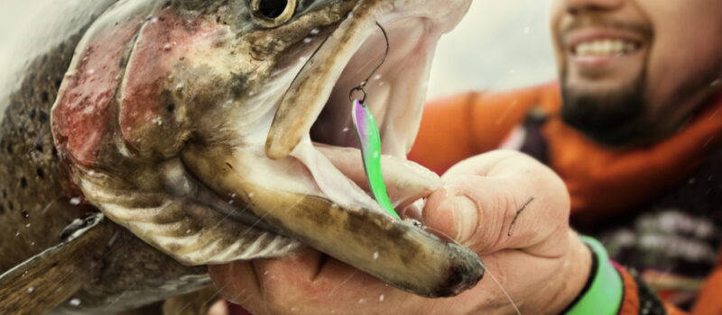 fiskeri-som-ny-hobby